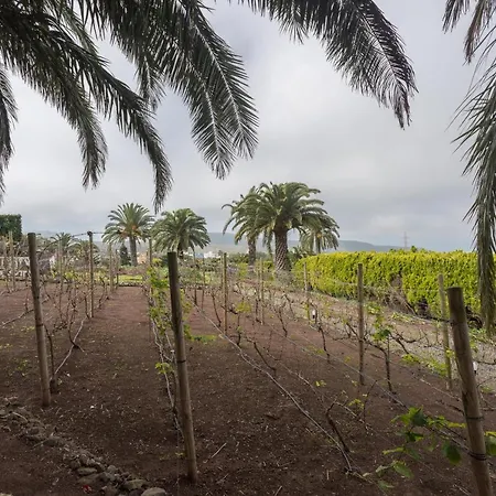 Paredones Farm - Private Pool - Garden 펜션