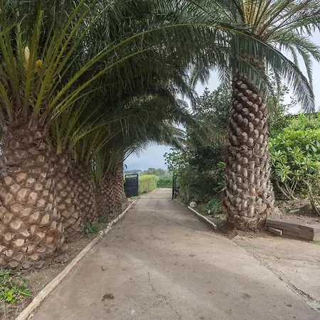 Paredones Farm - Private Pool - Garden Santa Maria de Guia de Gran Canaria